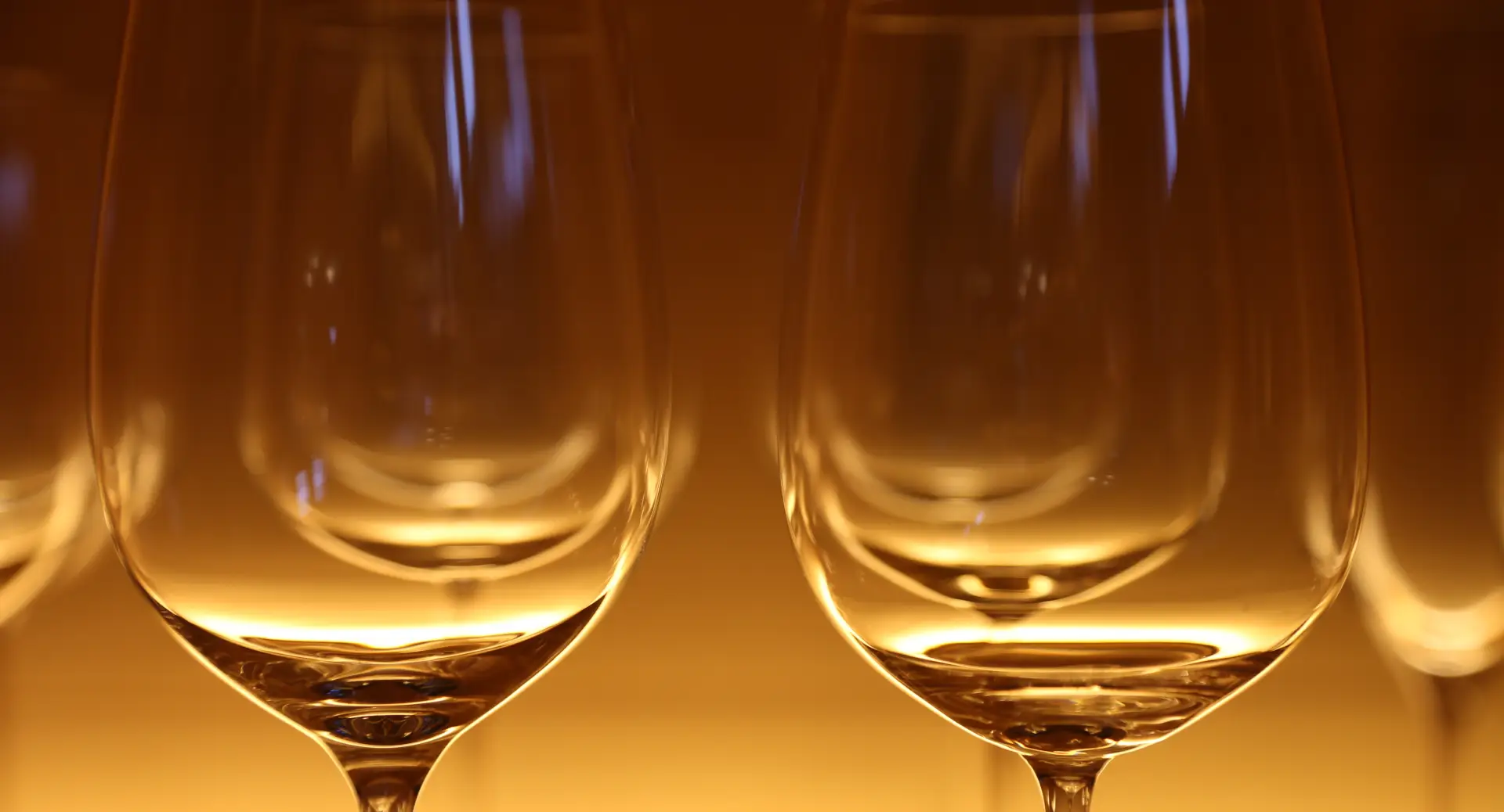 Tristique eget lobortis eget facilisis sed ante lorem ipsum